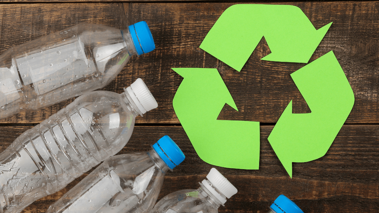10 Simple Ways to Reduce Plastic Waste in Daily Life